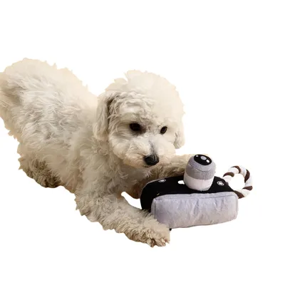 FurryFusion Jouet à mâcher en peluche caméra pour chien