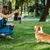 FurryFusion Jouet à mâcher en peluche caméra pour chien