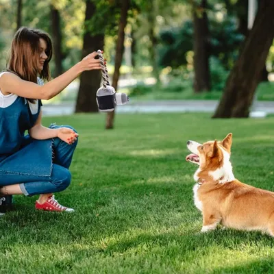 FurryFusion Jouet à mâcher en peluche caméra pour chien