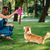 FurryFusion Balle en peluche pour chien
