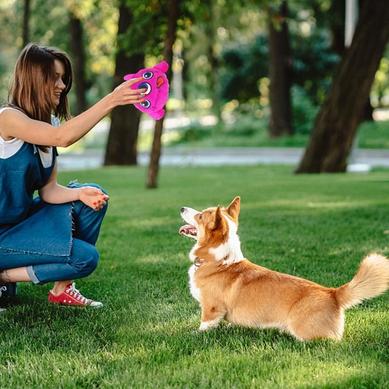 FurryFusion Balle en peluche pour chien