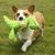 FurryFusion Jouet en peluche dinosaure pour chien