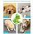 FurryFusion Jouet en peluche dinosaure pour chien