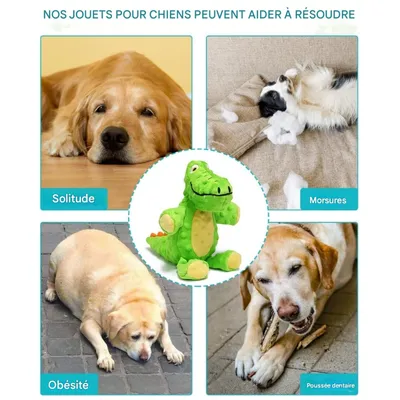 FurryFusion Jouet en peluche dinosaure pour chien