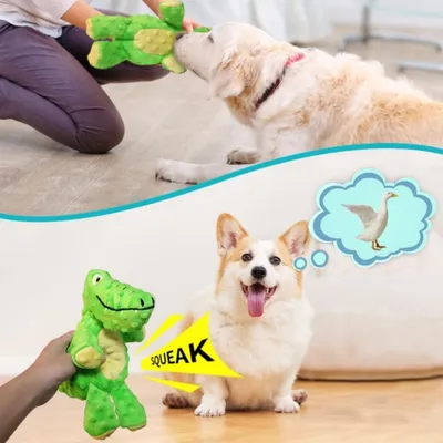 FurryFusion Jouet en peluche dinosaure pour chien