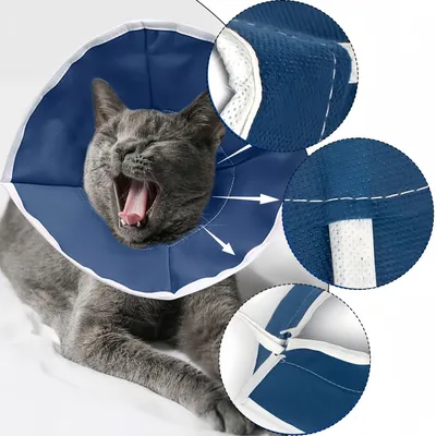 FurryFusion Collier anti-morsure en non-tissé pour chat