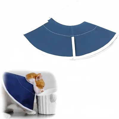FurryFusion Collier anti-morsure en non-tissé pour chat
