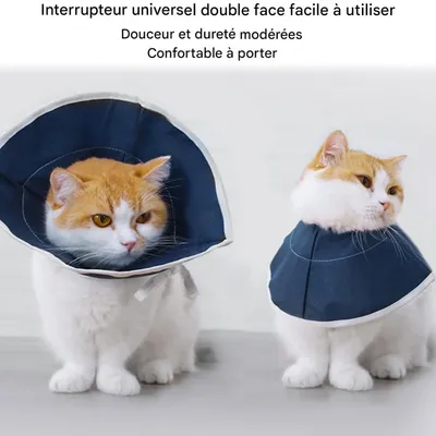 FurryFusion Collier anti-morsure en non-tissé pour chat