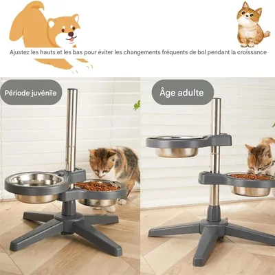 IntiMeg Lot de 2 gamelles surélevées pour chien