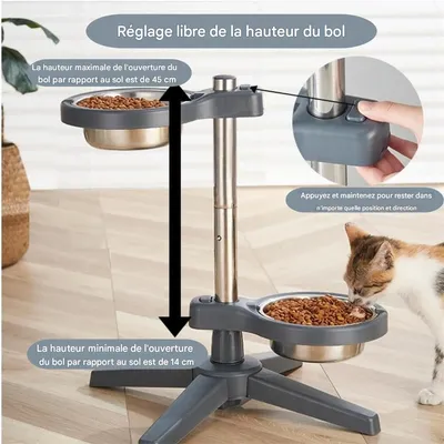 IntiMeg Lot de 2 gamelles surélevées pour chien