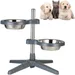 IntiMeg Lot de 2 gamelles surélevées pour chien