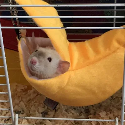 IntiMeg Hamac en peluche pour petit animal