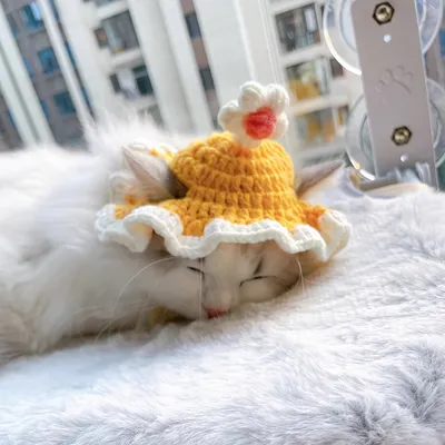 UAMLY Katzenmütze UAMLY Katzenmütze