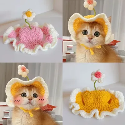 UAMLY Katzenmütze UAMLY Katzenmütze