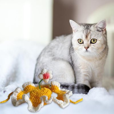 UAMLY chapeau de chat