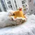 UAMLY Katzenmütze UAMLY Katzenmütze