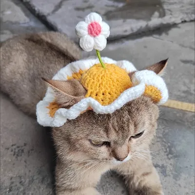 UAMLY Katzenmütze UAMLY Katzenmütze