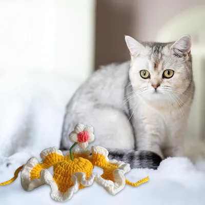 UAMLY Katzenmütze UAMLY Katzenmütze