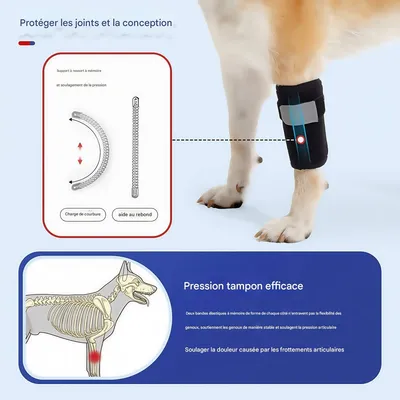 FurryFusion Protège-jambes pour chien