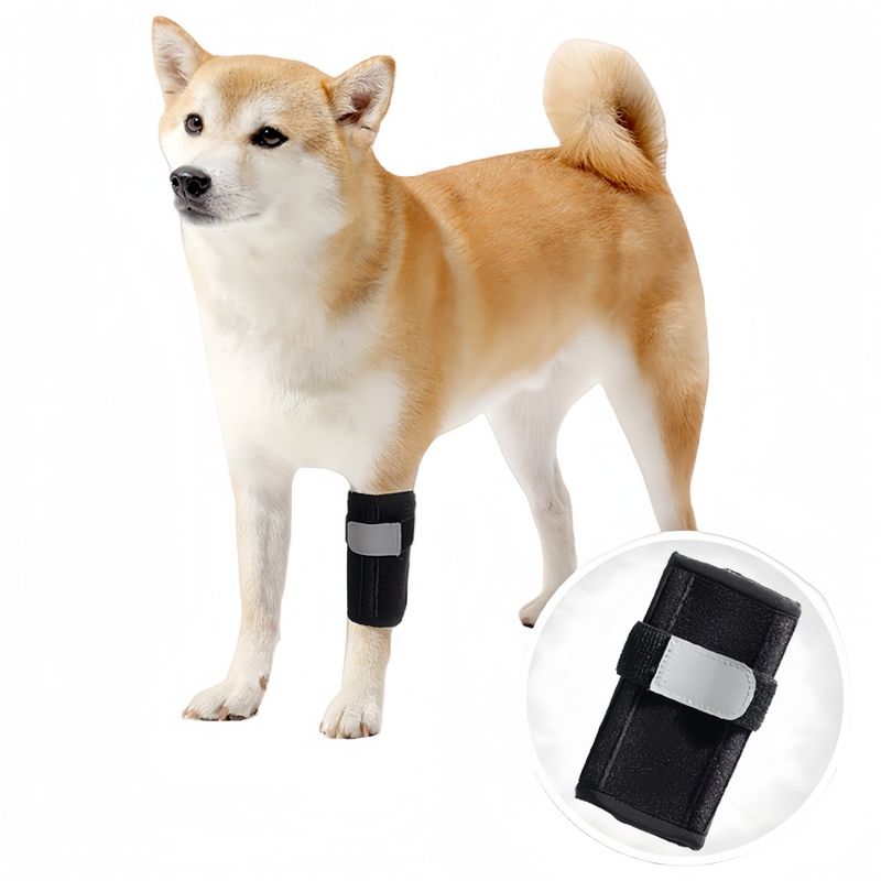 FurryFusion Beinschoner für Hunde