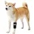 FurryFusion Protège-jambes pour chien