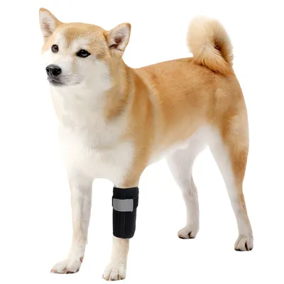 FurryFusion Protège-jambes pour chien
