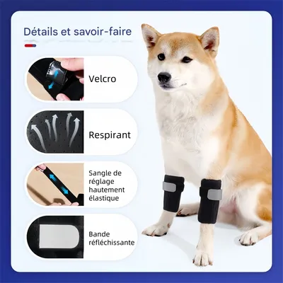 FurryFusion Protège-jambes pour chien