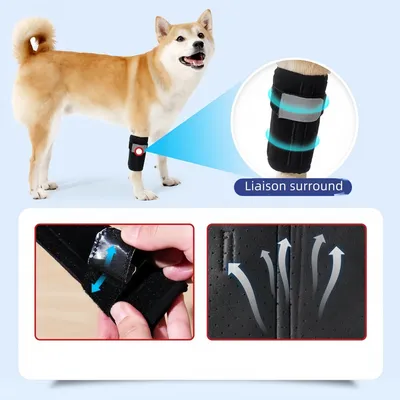 FurryFusion Protège-jambes pour chien