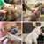 IntiMeg Ensemble de ciseaux de toilettage pour chien IntiMeg Ensemble de ciseaux de toilettage pour chien