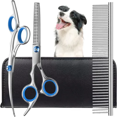IntiMeg ciseaux de toilettage pour chien IntiMeg ciseaux de toilettage pour chien