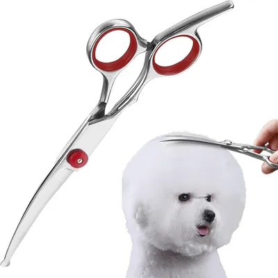 IntiMeg Ciseaux de toilettage pour chien IntiMeg Ciseaux de toilettage pour chien