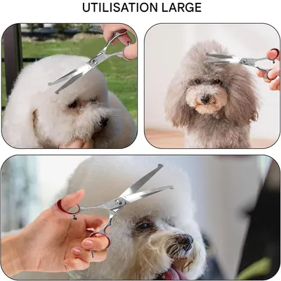 IntiMeg Ciseaux de toilettage pour chien