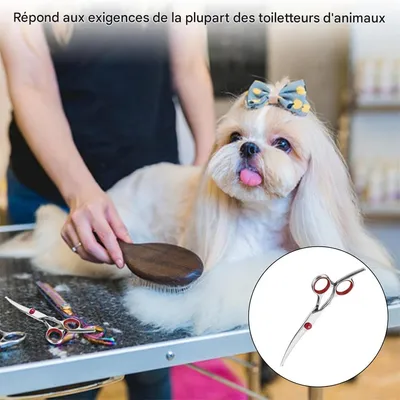 IntiMeg Ciseaux de toilettage pour chien