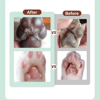 FurryFusion Baume pour pattes de chat