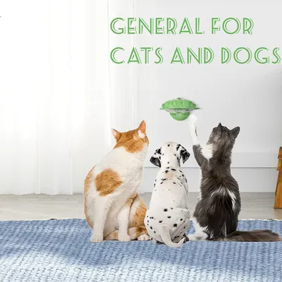 IntiMeg Jouet interactif tournant distributeur