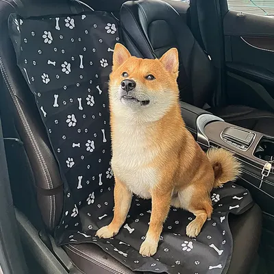 IntiMeg Tapis pour chien pour voiture