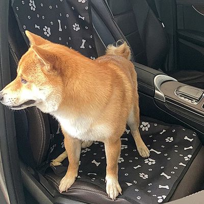 IntiMeg Alfombrilla para perros para el coche