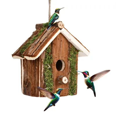 FurryFusion nid d'oiseau en bois