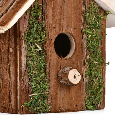 FurryFusion nid d'oiseau en bois