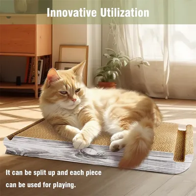 IntiMeg griffoir pour chat