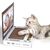 UAMLY Planche à gratter pliable pour chat