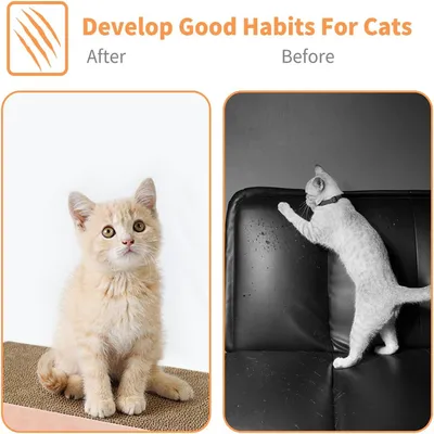 UAMLY Planche à gratter pour chat en forme de boîte