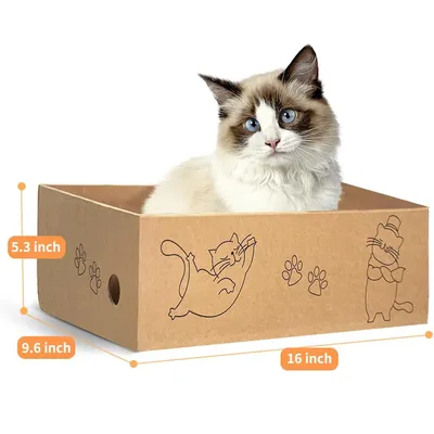 UAMLY Planche à gratter pour chat en forme de boîte