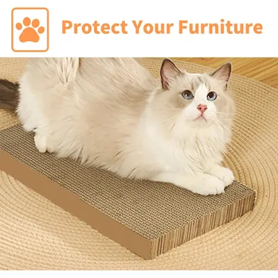 UAMLY Planche à gratter pour chat en forme de boîte