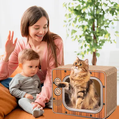 UAMLY Planche à gratter pour chat TV