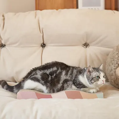 UAMLY Planche à gratter double face pour chat