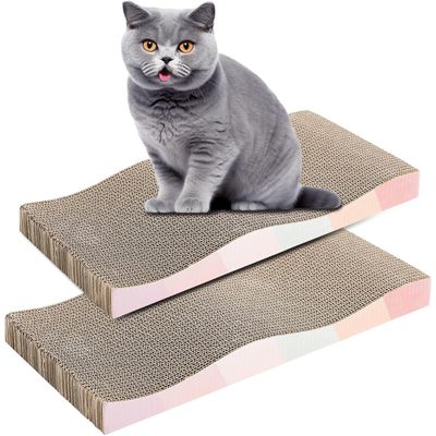 UAMLY Planche à gratter double face pour chat