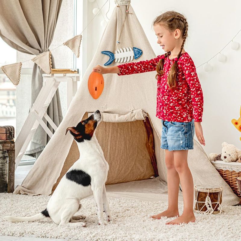 IntiMeg Balle pour grands chiens