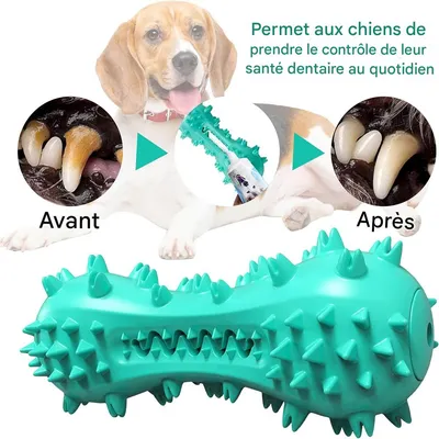 IntiMeg Balle pour chien en caoutchouc naturel