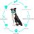 IntiMeg Balle pour chien en caoutchouc naturel